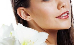 久久AV无码乱码A片无码软件